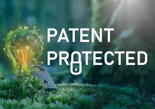 Kavalan protective Patent granted