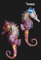 PONGS Artist Mambo® Antibac (DirectTex®)